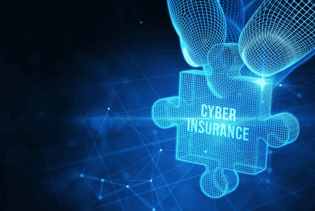 Cyber Insurance for data breach and business interruption protection
