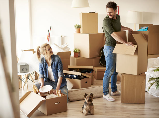 General Third Party Liability Insurance