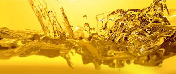 Oil & Energy Insurance